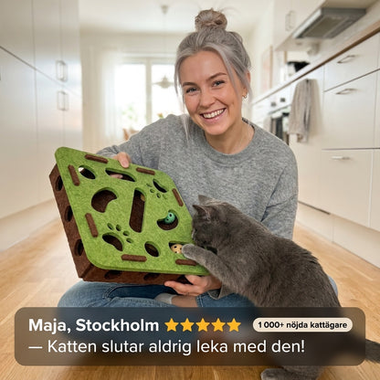 Din katt är smartare än du tror — ge den en utmaning