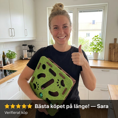 Din katt är smartare än du tror — ge den en utmaning