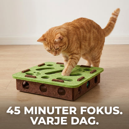 Din katt är smartare än du tror — ge den en utmaning