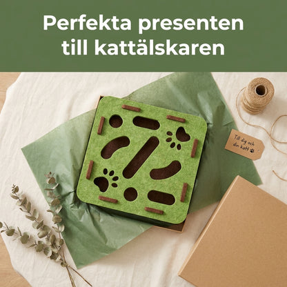 Din katt är smartare än du tror — ge den en utmaning